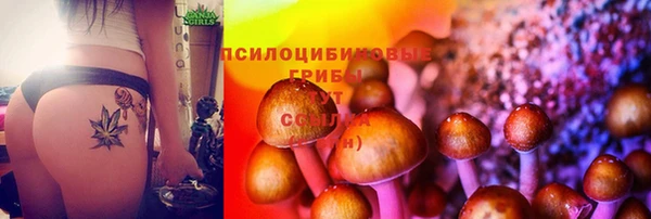 a pvp Нефтекумск