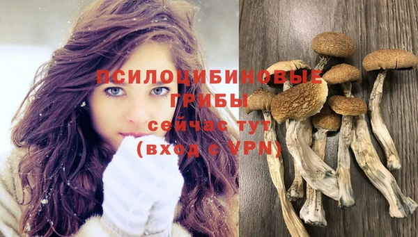 a pvp Нефтекумск