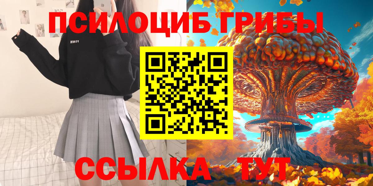 Ливны  Псилоцибиновые грибы прущие грибы  цена наркотик  Псилоцибиновые грибы Cubensis  Вход с VPN 