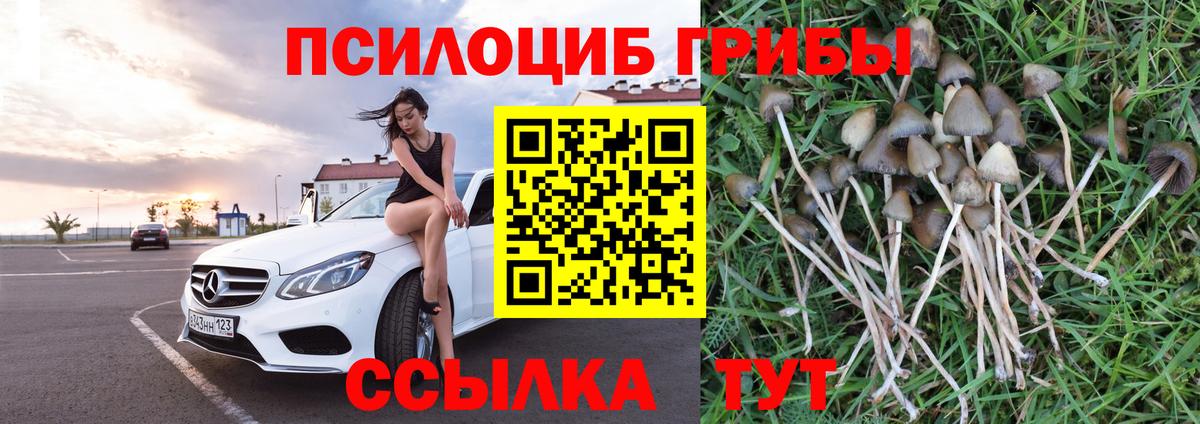 Галлюциногенные грибы MAGIC MUSHROOMS Ливны